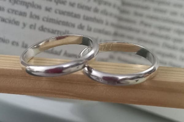 Qué son y cual es su función