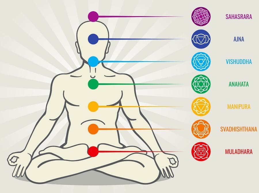Muladhara, Svadhishthana, Manipura, Anahata, Vishuddha, Ajna, Sahastrara.